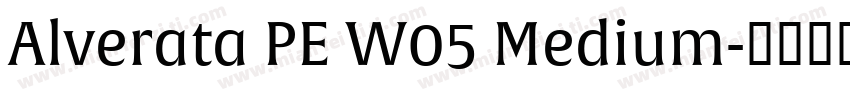 Alverata PE W05 Medium字体转换